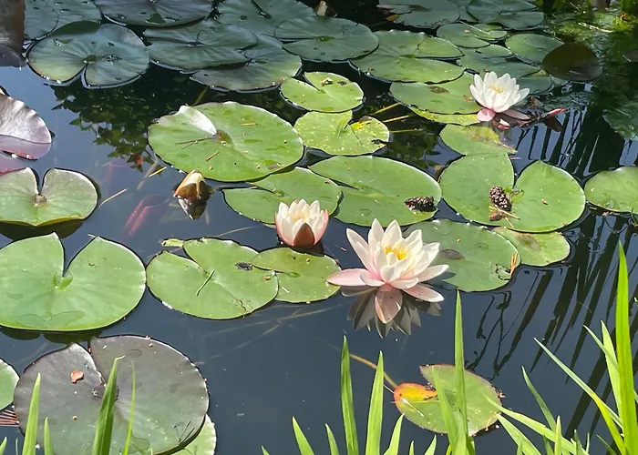 Casetta In Giardino Con Piscina Feriehus